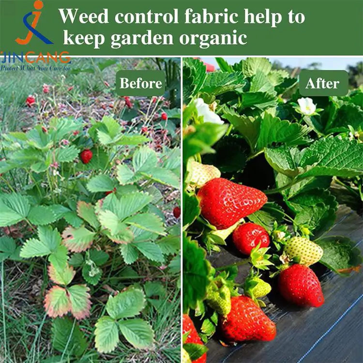 เสื่อผ้าควบคุมวัชพืช