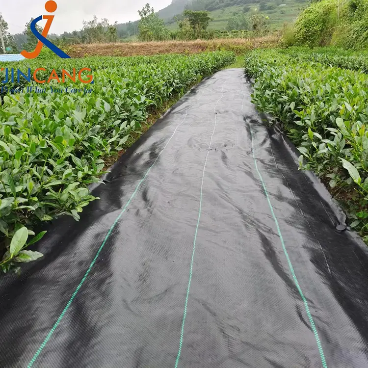 เสื่อผ้าควบคุมวัชพืช