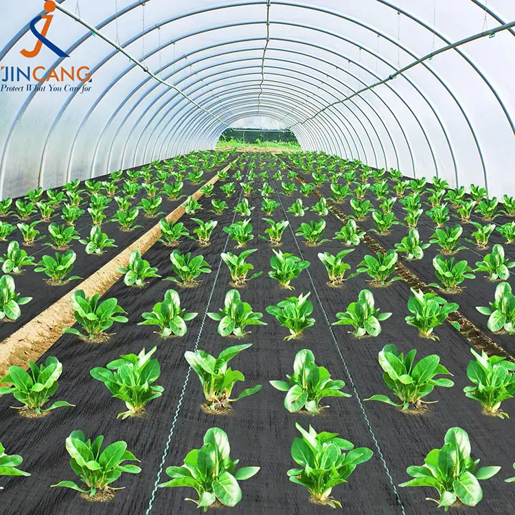 เสื่อผ้าควบคุมวัชพืช